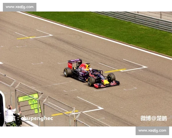 林志颖首次征战F1赛场速度与激情全面展现